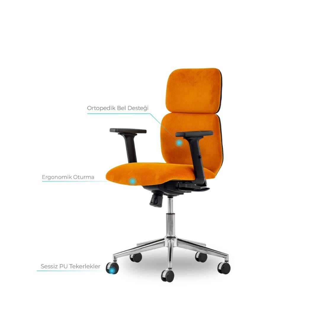 albina şef koltuğu 7