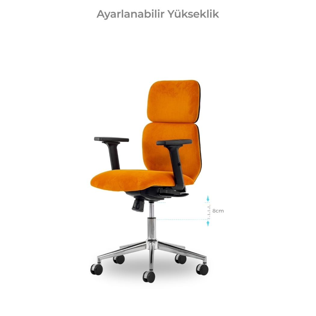 albina şef koltuğu 8