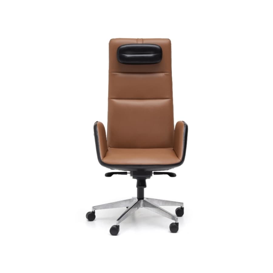 Apex Yönetici Koltuğu - 2