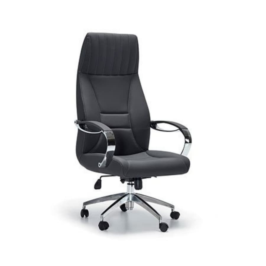 Darvin Yönetici Koltuğu