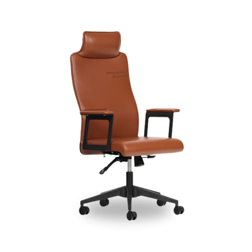 Astra Yönetici Koltuğu