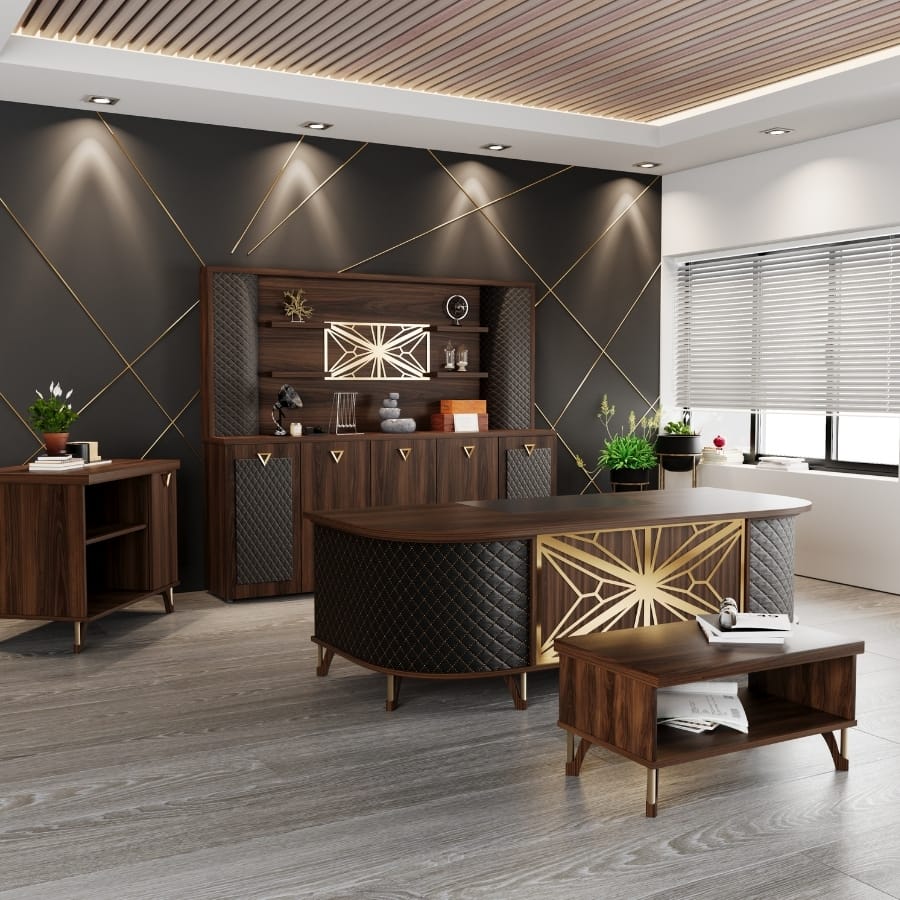 carizma üst düzey yönetici takımı 1