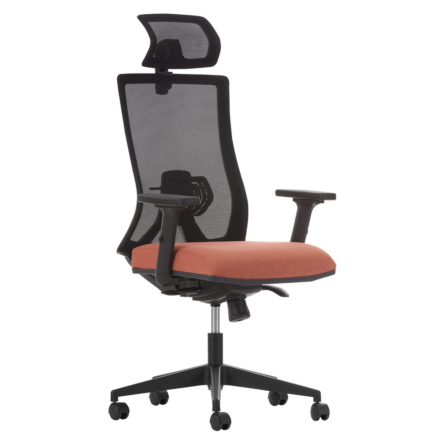 Albina Fileli Yönetici Koltuğu