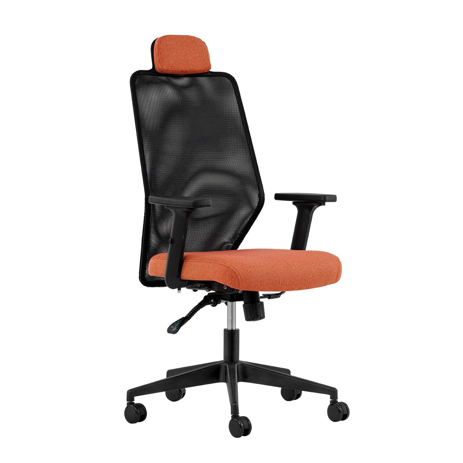 Zeno Fileli Yönetici Koltuğu