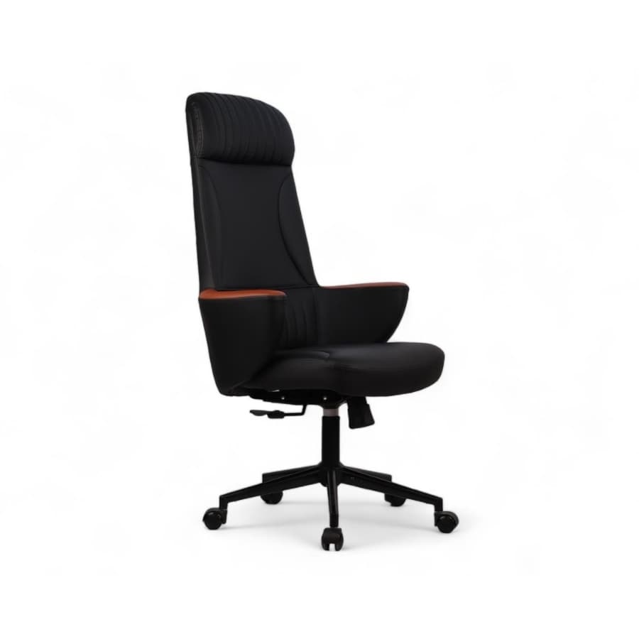 Dolphin Yönetici Koltuğu