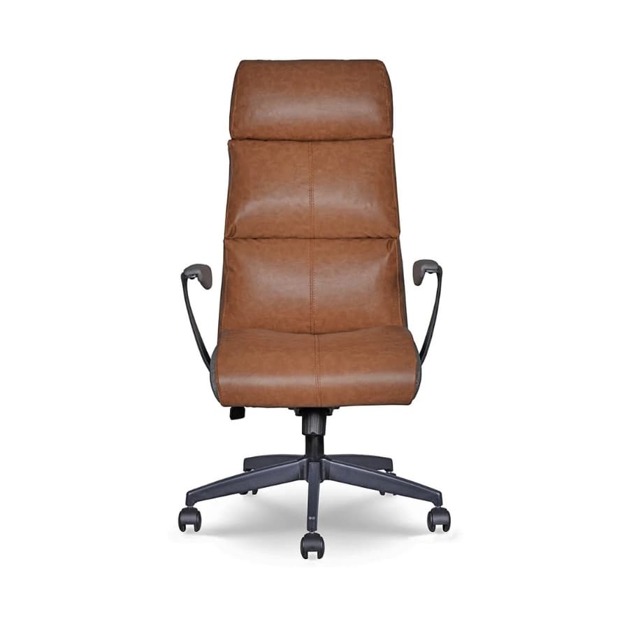 Dominus Yönetici Koltuğu - 2