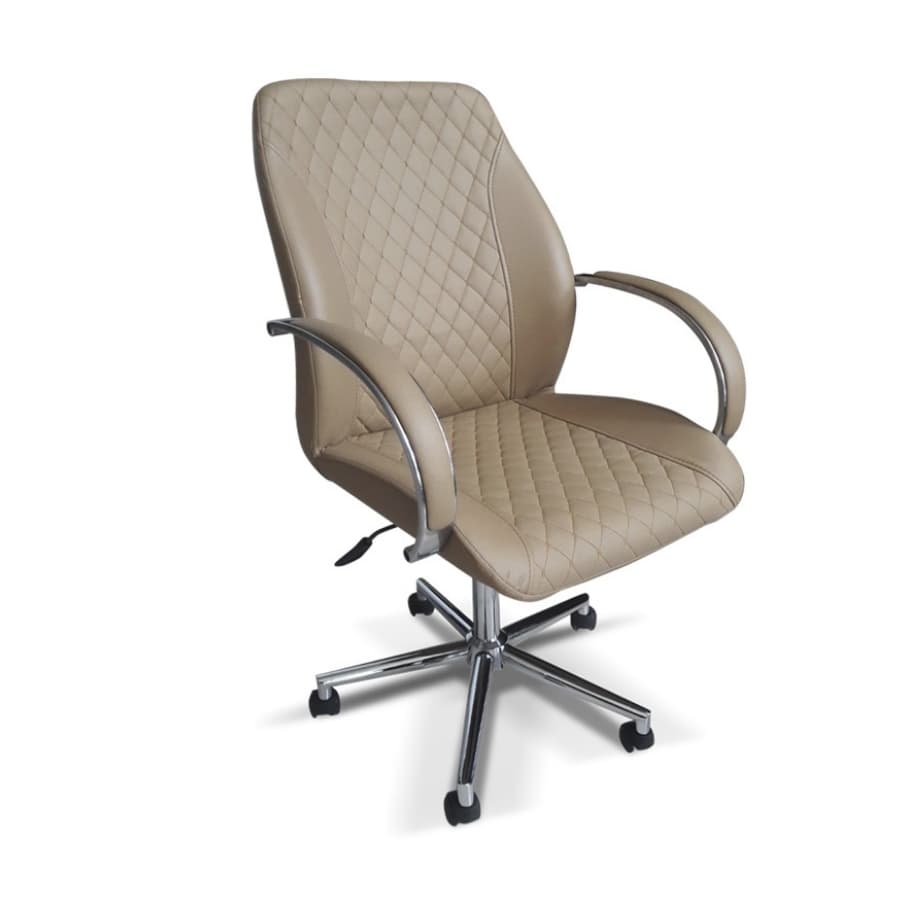 Dream Çalışma Ve Toplantı Koltuğu