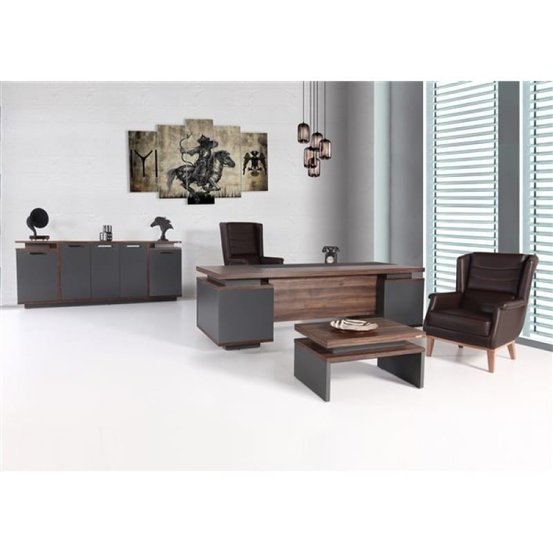 Alpix Üst Düzey Yönetici Takımı