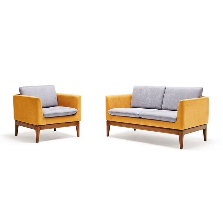 Fenomen Koltuk Grubu