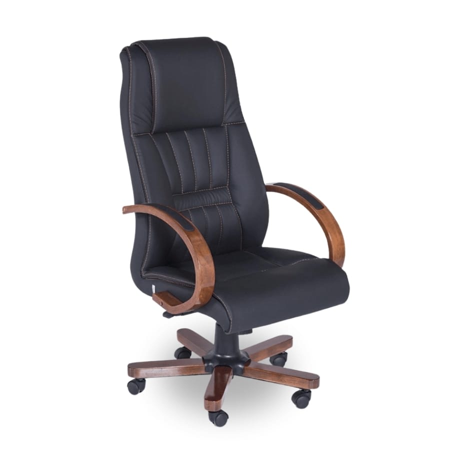 halley yönetici koltuğu 1