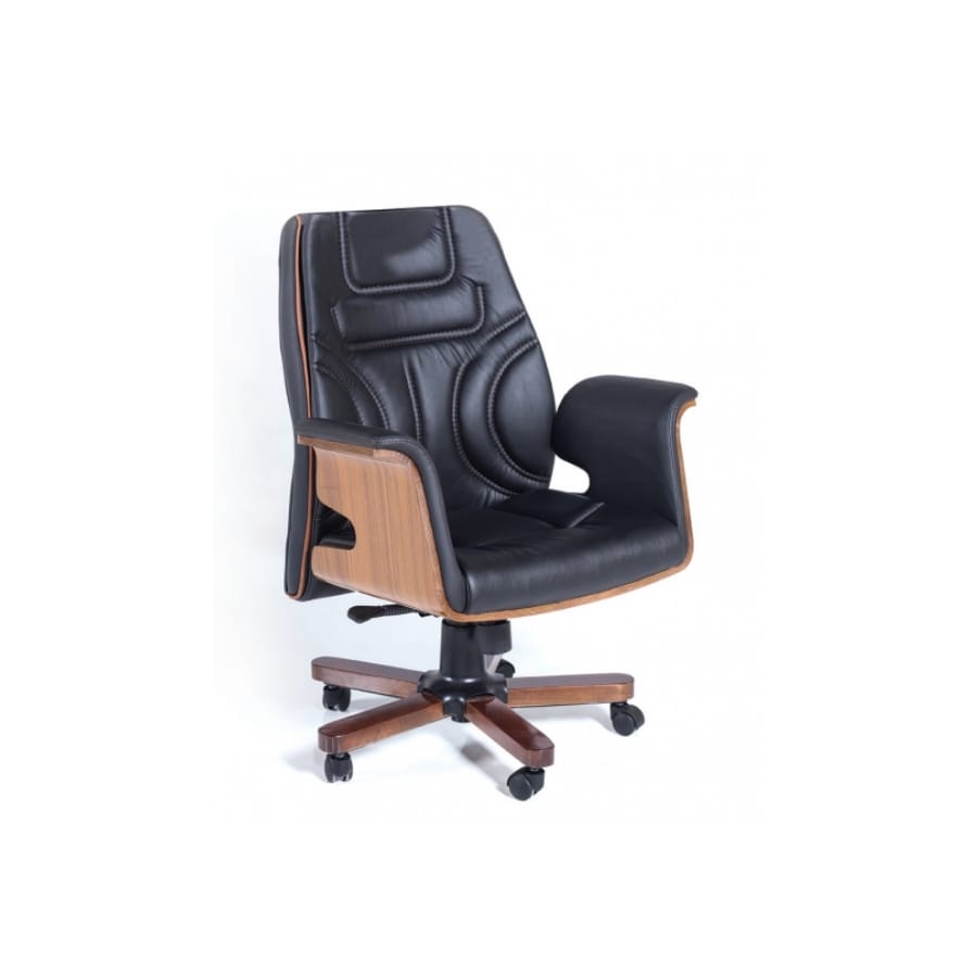 kral çalışma ve toplantı koltuğu 1