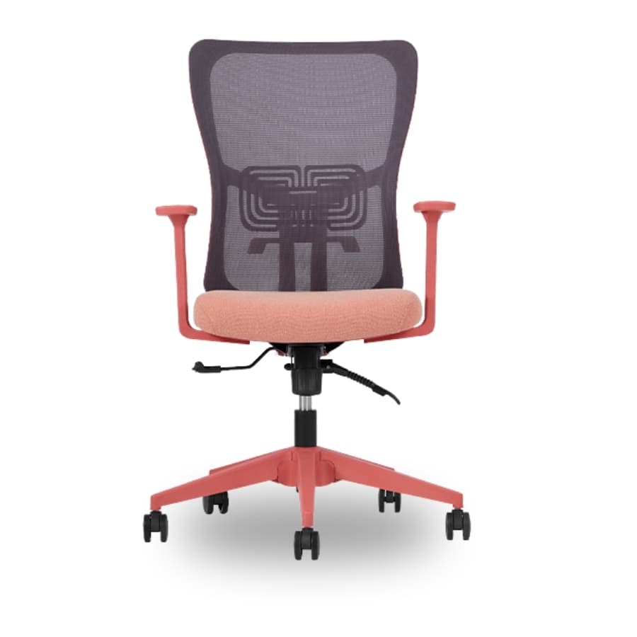 Lumbar Somon Fileli Çalışma Ve Toplantı Koltuğu - 2