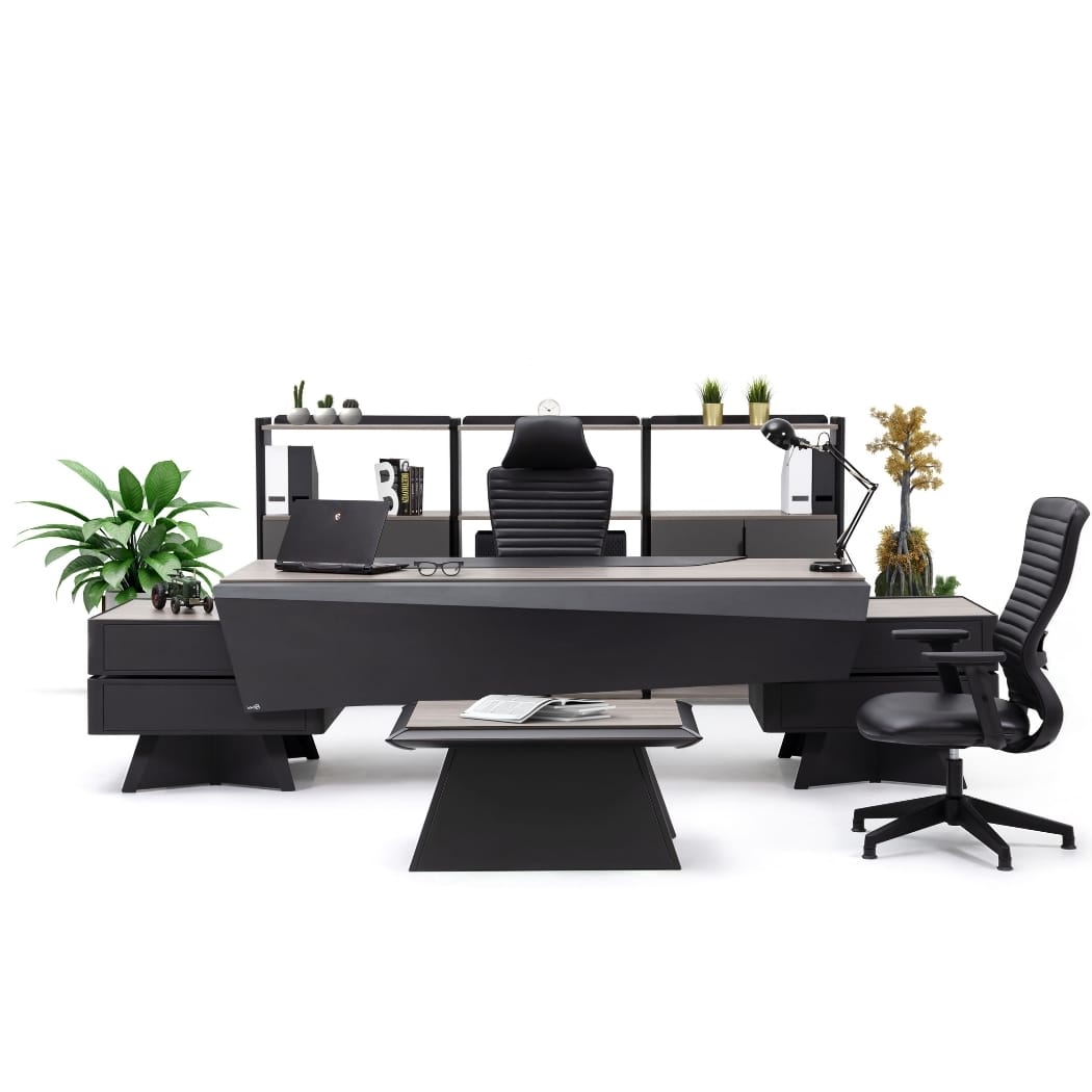 mercury üst düzey yönetici takımı 01