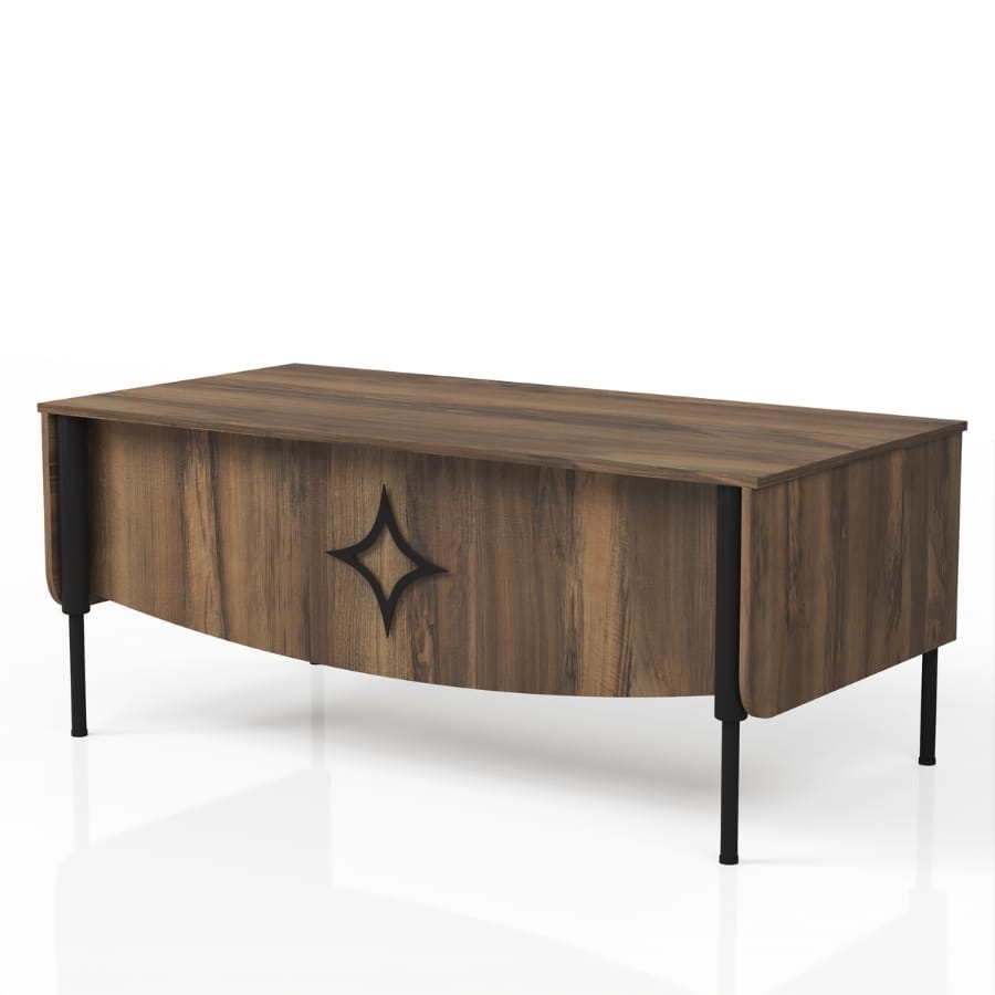 moster plus yönetici takımı 2