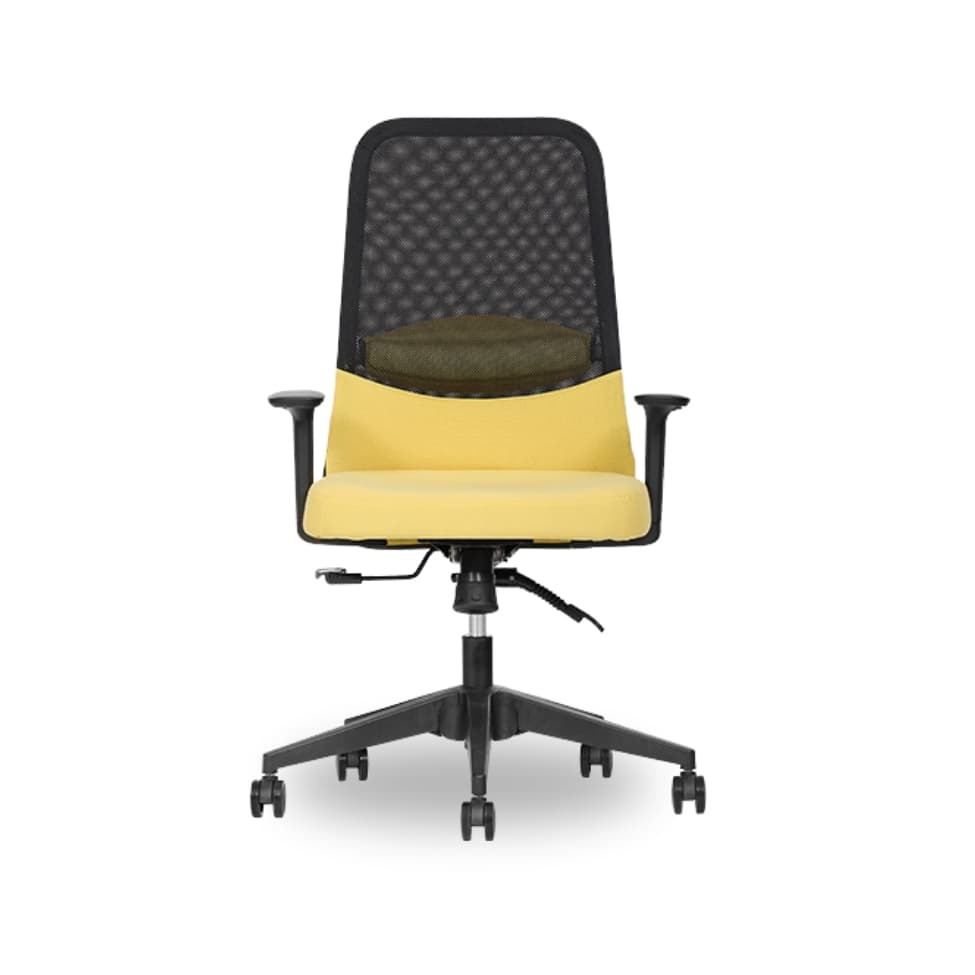 Remus Fileli Çalışma Ve Toplantı Koltuğu - 2