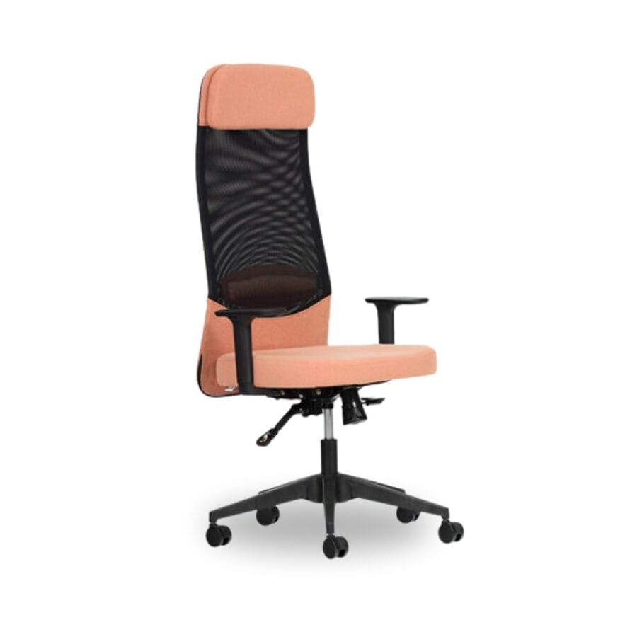 remus yönetici koltuğu 01