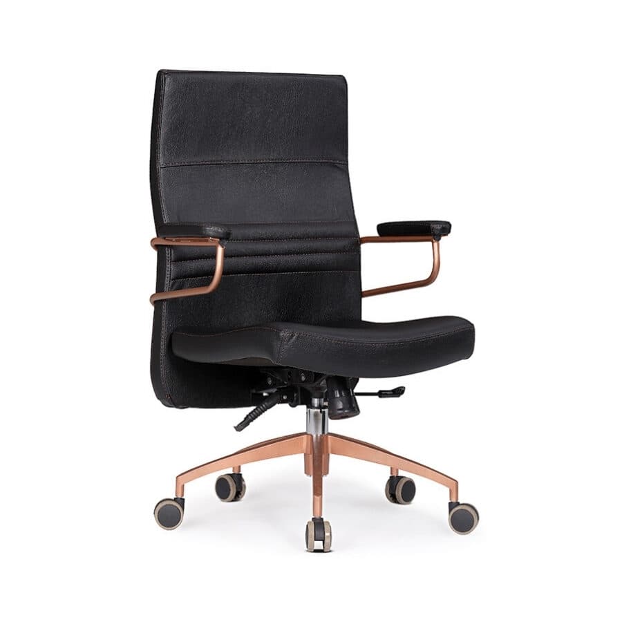 Robin Çalışma Ve Toplantı Koltuğu