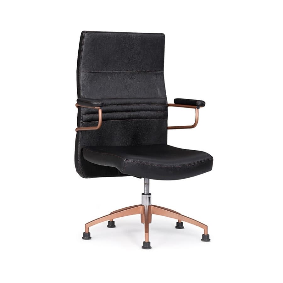 Robin Misafir Koltuğu