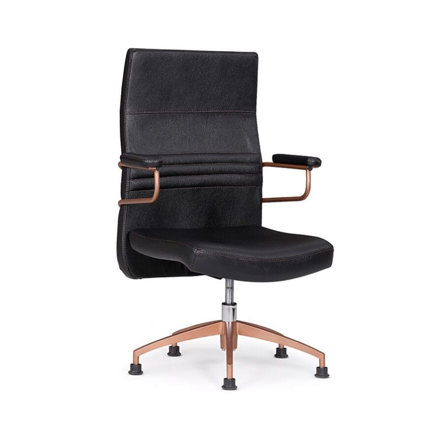 robin misafir koltuğu 1