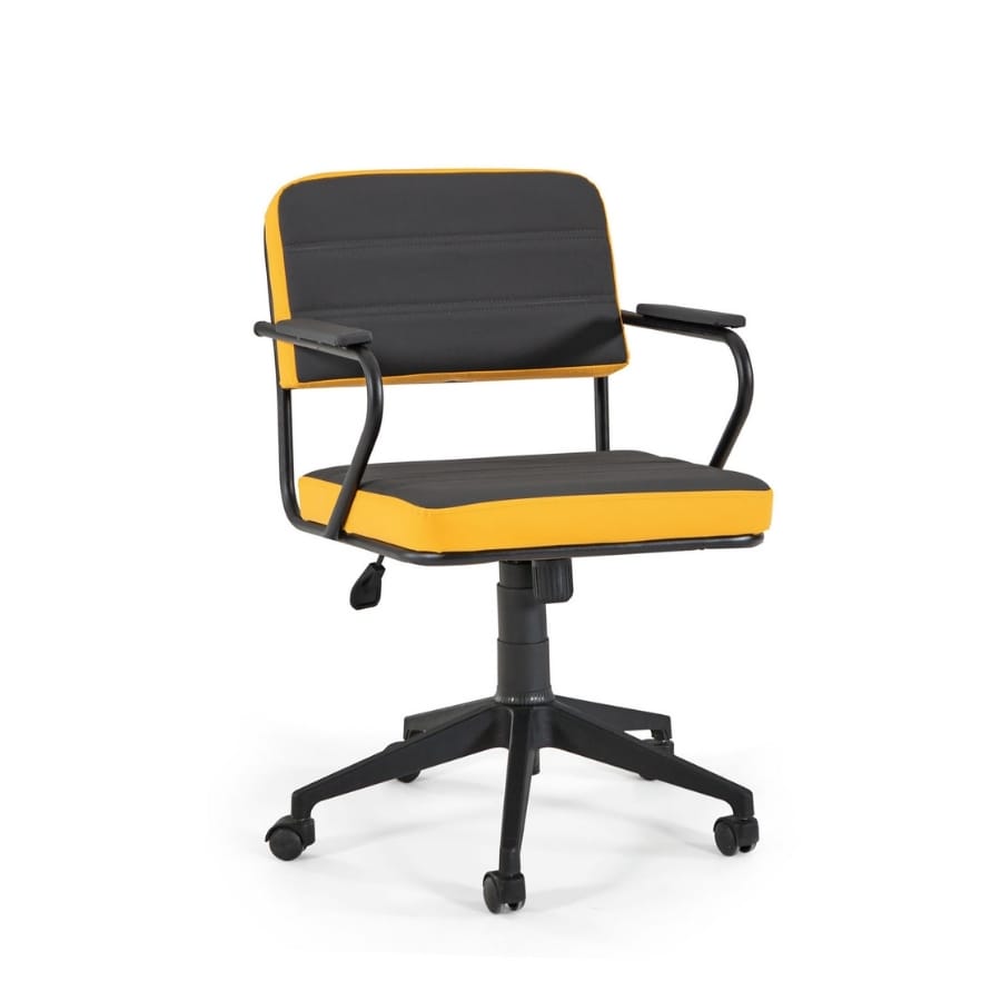 spor çalışma ve toplantı koltuğu 1