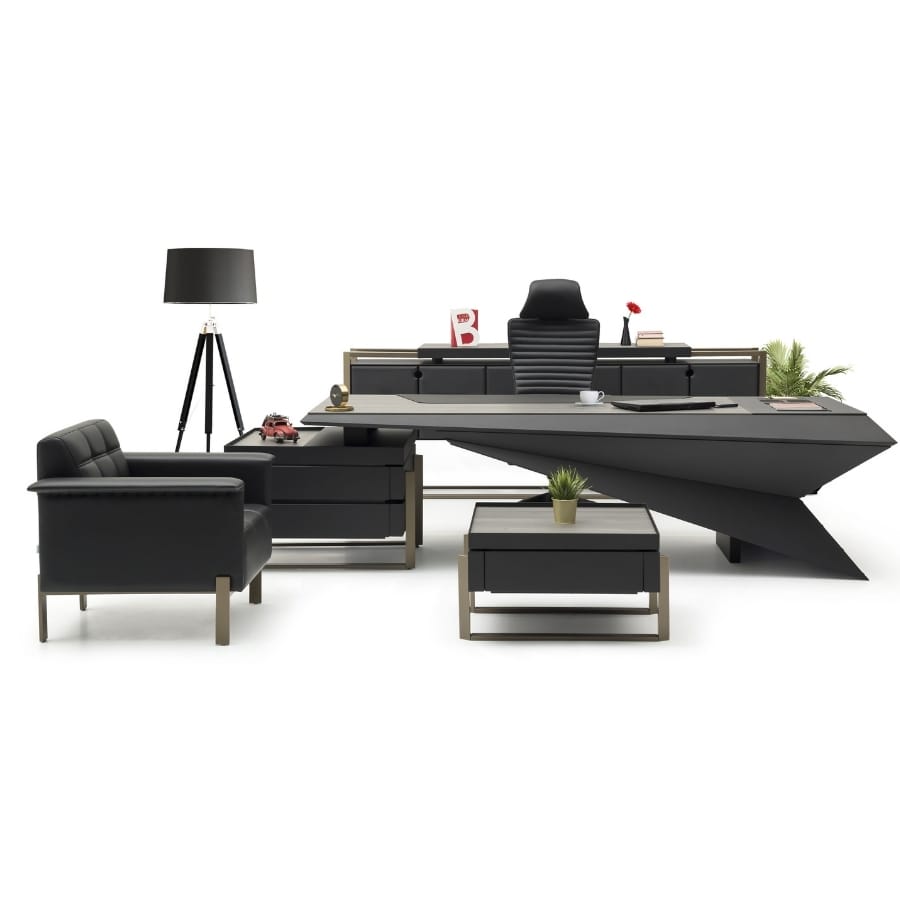 trigon üst düzey yönetici takımı 03