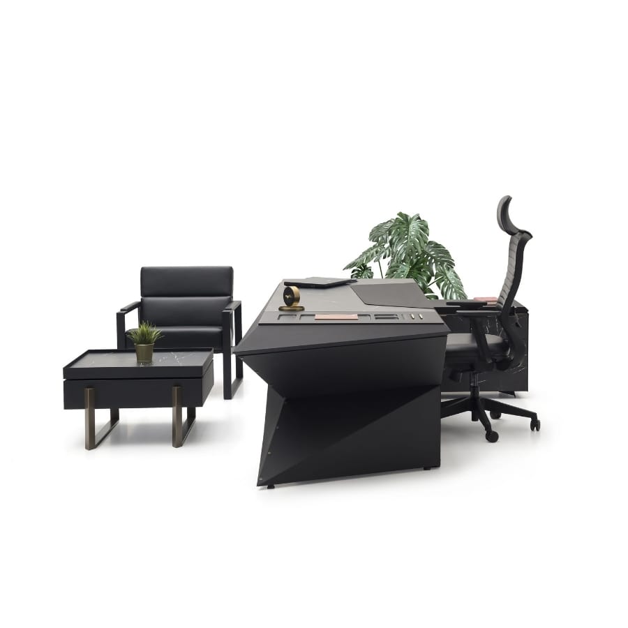 trigon üst düzey yönetici takımı 04