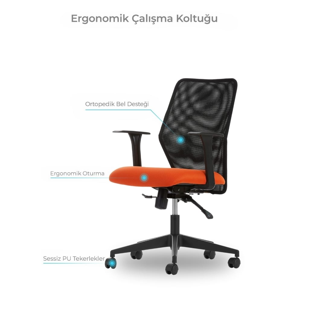 zeno çalışma ve toplantı koltuğu 6